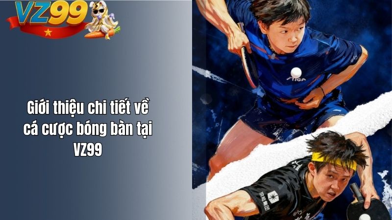 Giới thiệu chi tiết về cá cược bóng bàn tại VZ99