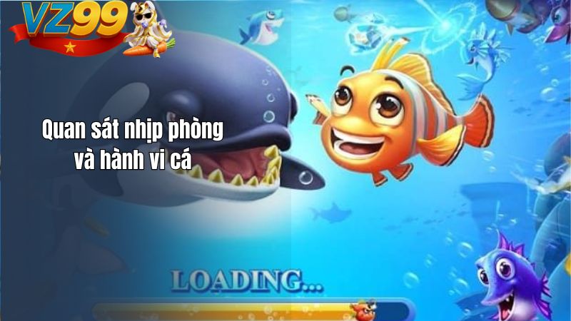 Quan sát nhịp phòng và hành vi cá